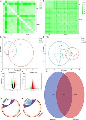 Identification of Co-expressed Genes Between Atrial Fibrillation and Stroke